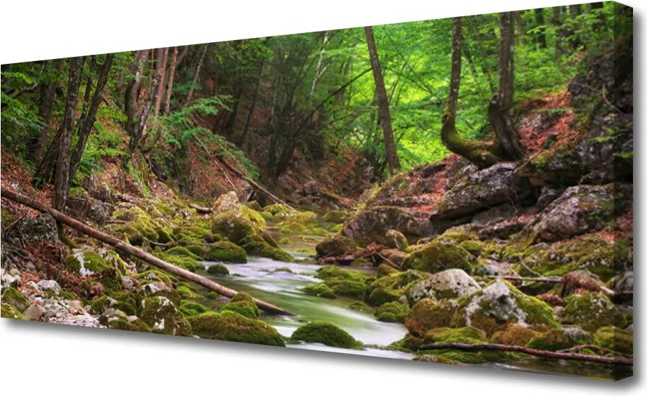 Obraz canvas Głęboka Zieleń Leśnego Mchu