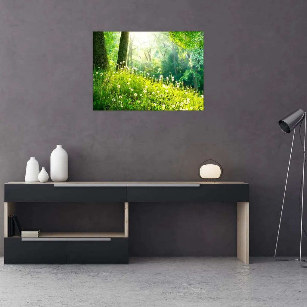 Obraz na szkle - Magiczna łąka pełna mniszków lekarskich (70x50 cm)