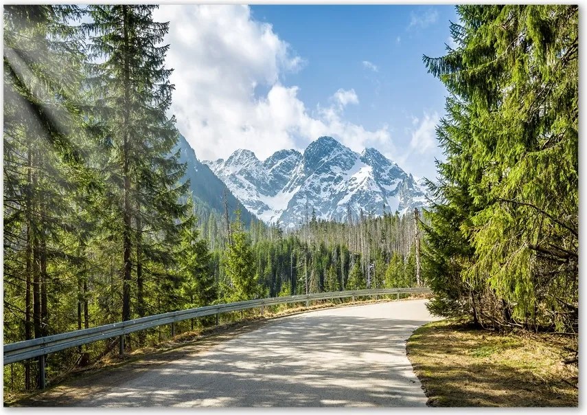 Foto obraz szkło hartowane Droga Tatry
