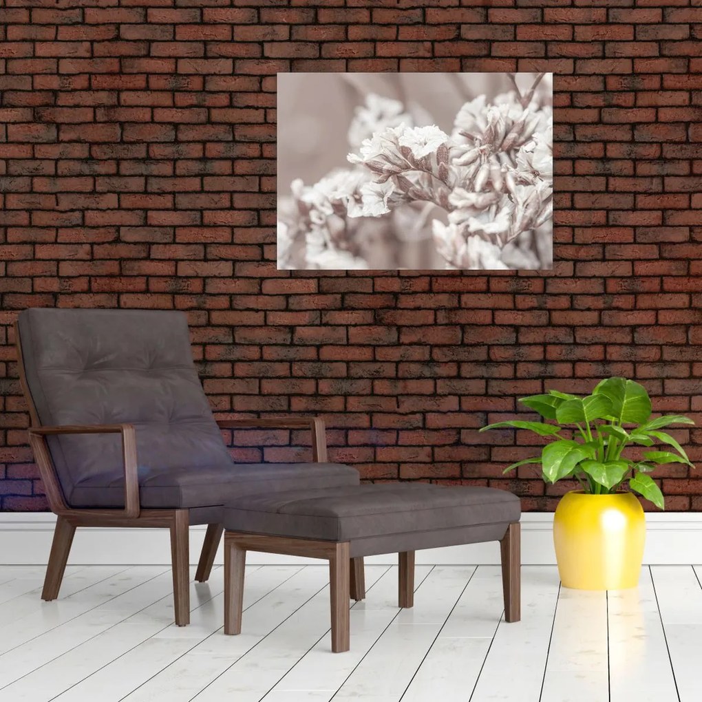Obraz - Szczegół gałązek (70x50 cm)