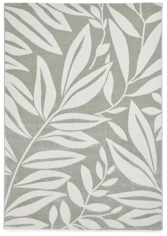 Jasnozielony dywan 120x170 cm Sorral Leaves – Catherine Lansfield