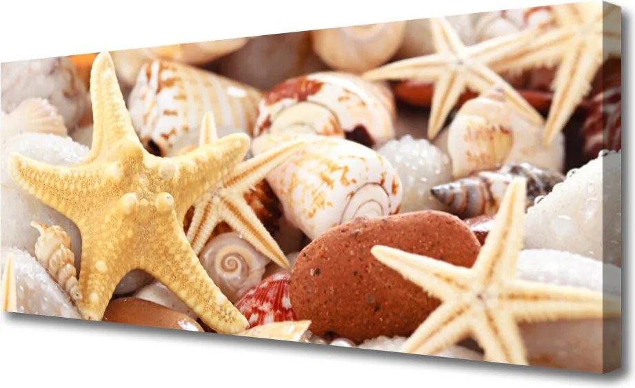 Obraz canvas Kompozycja Muszli na Brzegu