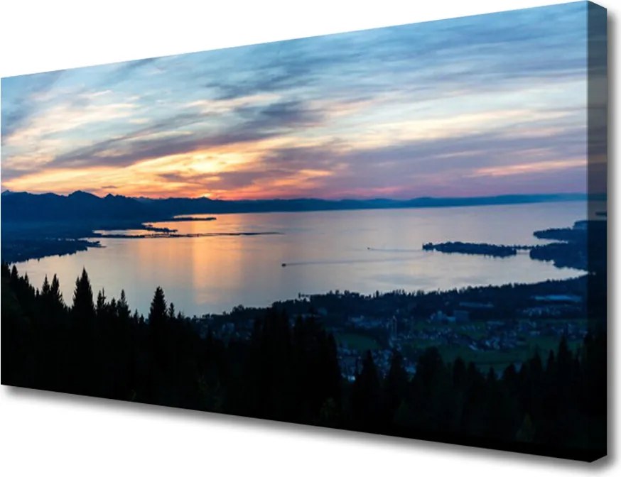 Duży obraz na płótnie Taniec Nasion Dmuchawca na Wietrze