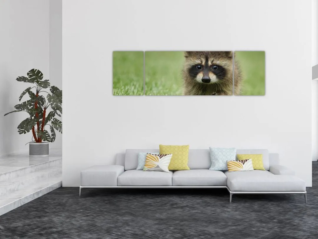 Obraz szopa pracza (170x50 cm)