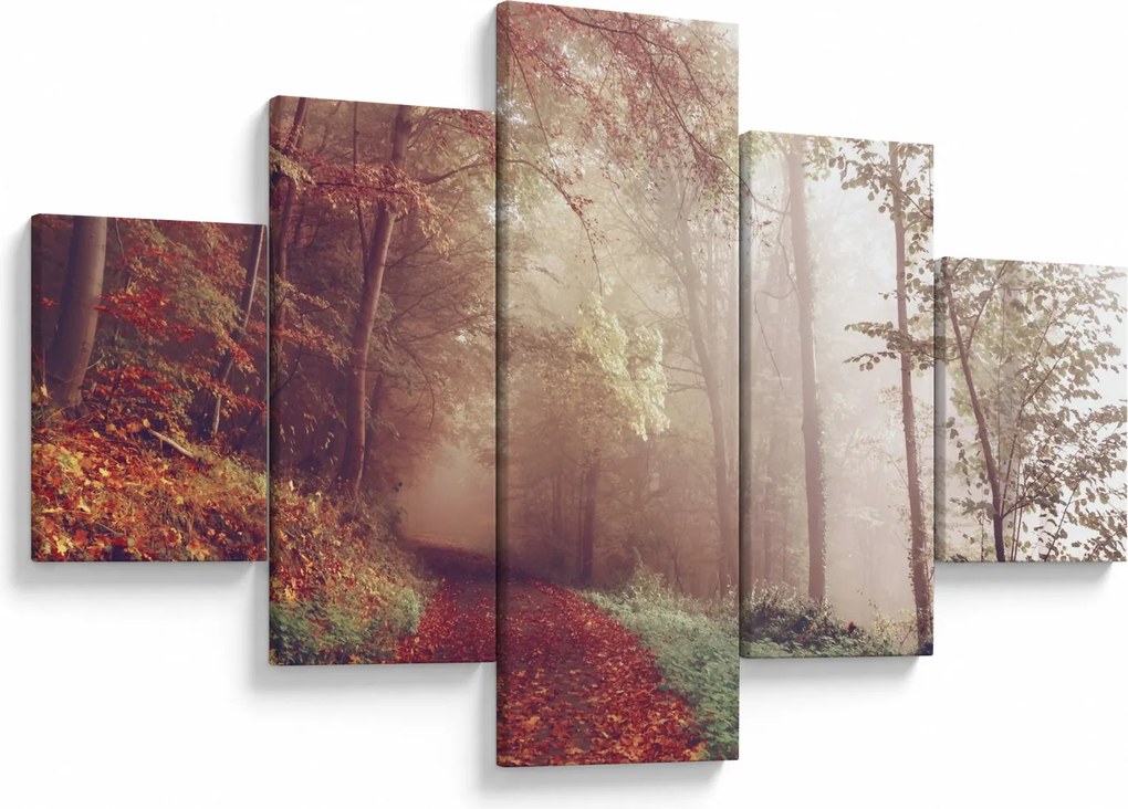 Obraz - Jesienny spacer po lesie (125x70 cm)