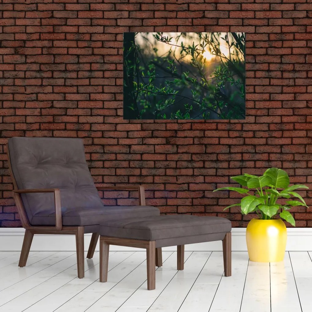 Obraz słońca przeświecającego przez gałęzie drzew (70x50 cm)