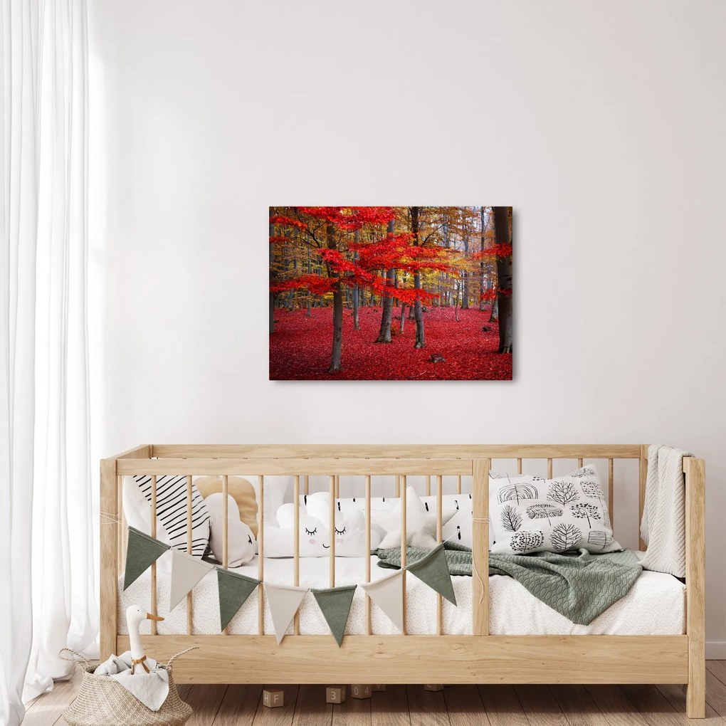 Obraz - Czerwony Las (70x50 cm)