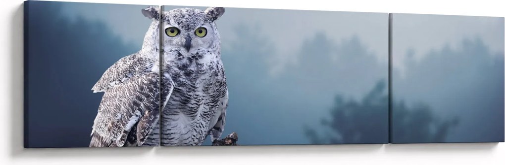 Obraz - Sowa śnieżna (170x50 cm)