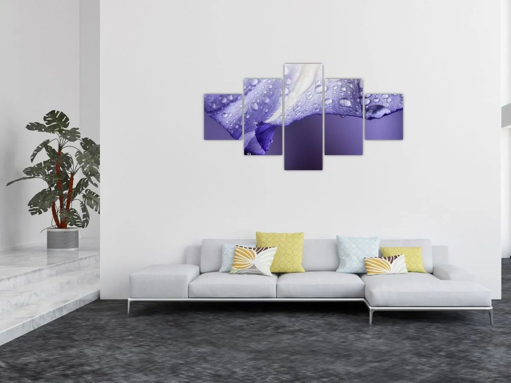 Obraz - Płatek z kroplami (125x70 cm)