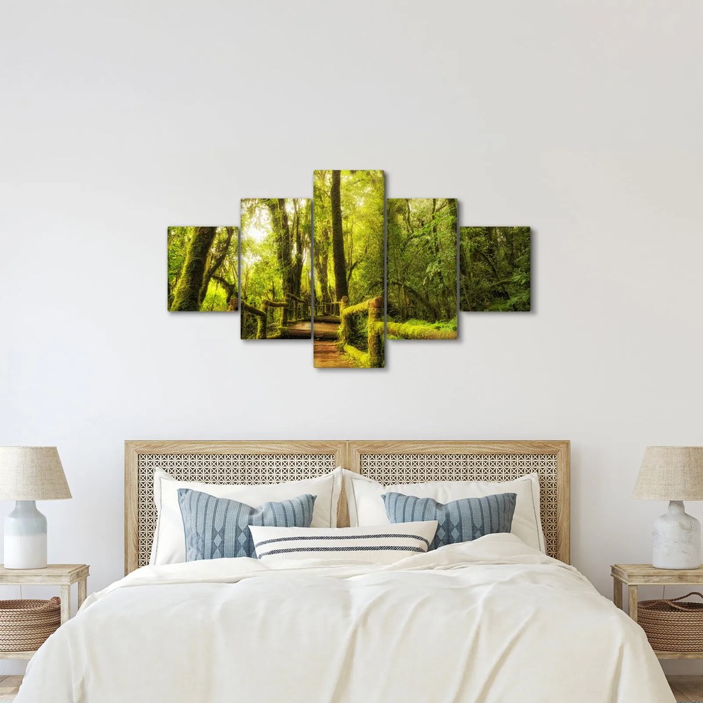 Obraz omszałej dżungli (125x70 cm)