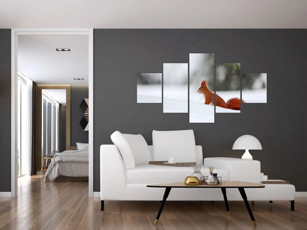 Obraz wiewiórki (125x70 cm)
