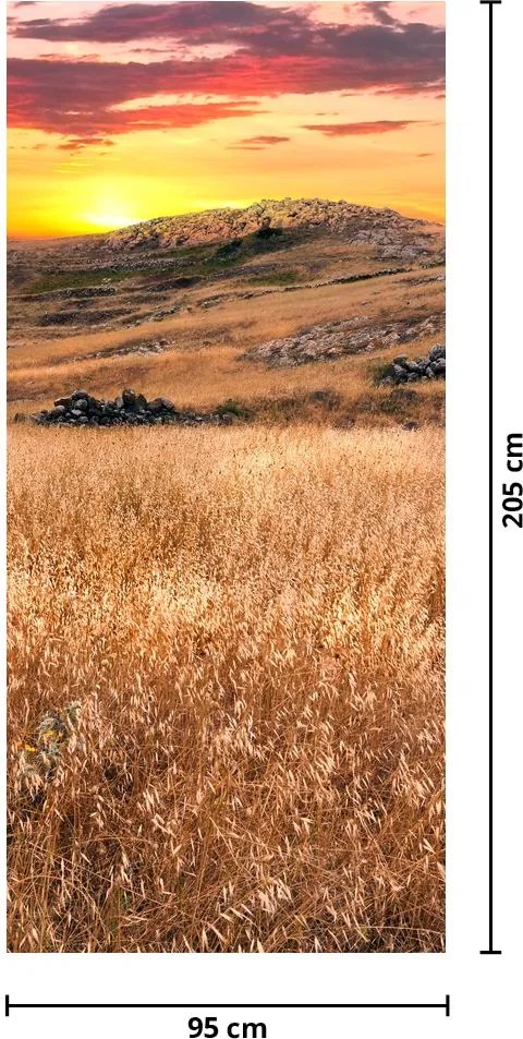 Fototapeta na drzwi - Pole (95x205cm)