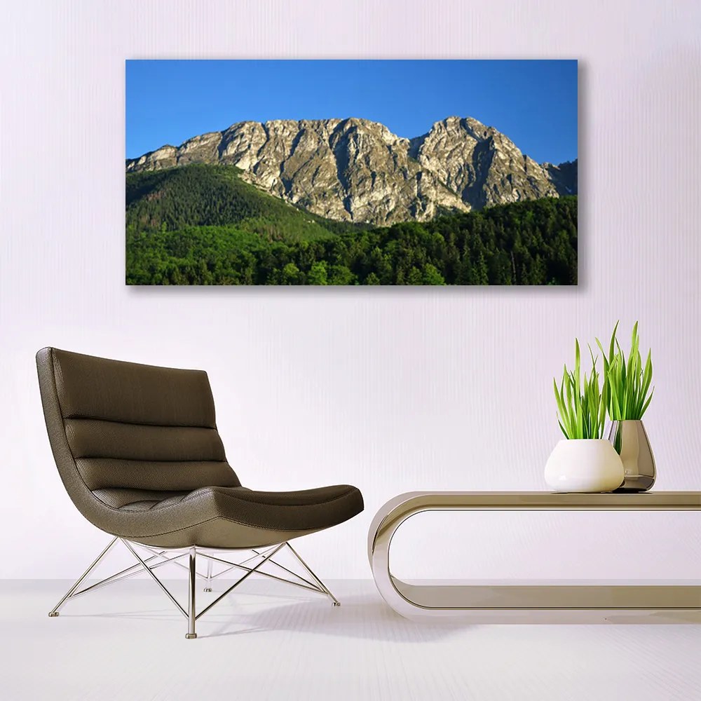 Zdjęcie na płótnie Górska Przystań w Lesie