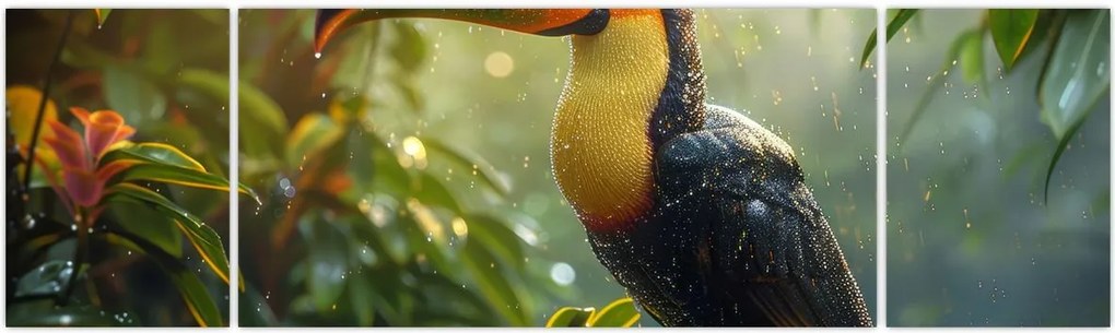Obraz - Tukan (170x50 cm)
