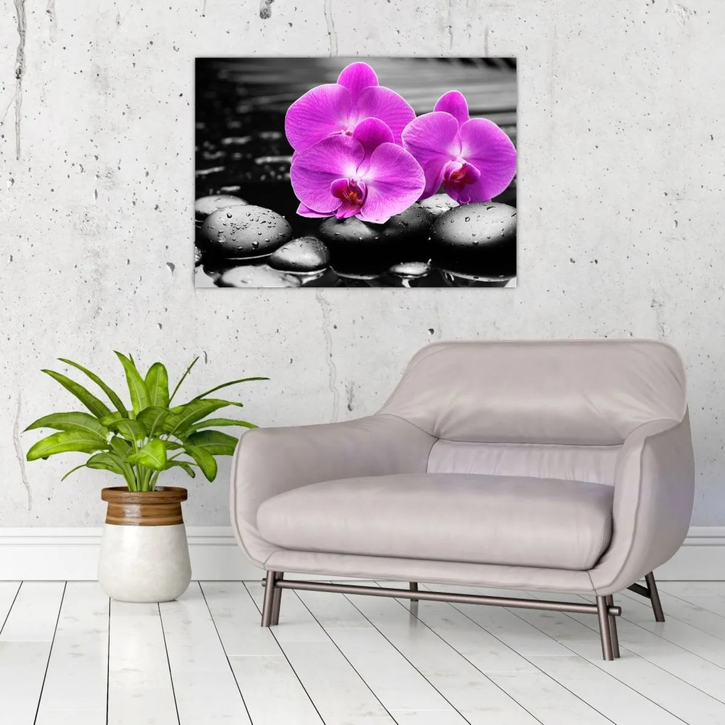 Obraz na szkle - Fioletowe orchidee (70x50 cm)