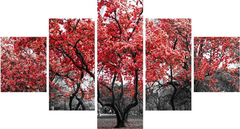 Obraz - Czerwone drzewa, Central Park, New York (125x70 cm)