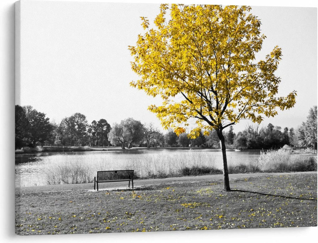 Obraz - Odpoczynek w parku (70x50 cm)