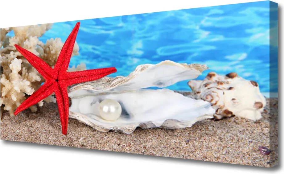 Obraz canvas Skarby Oceanicznego Dna