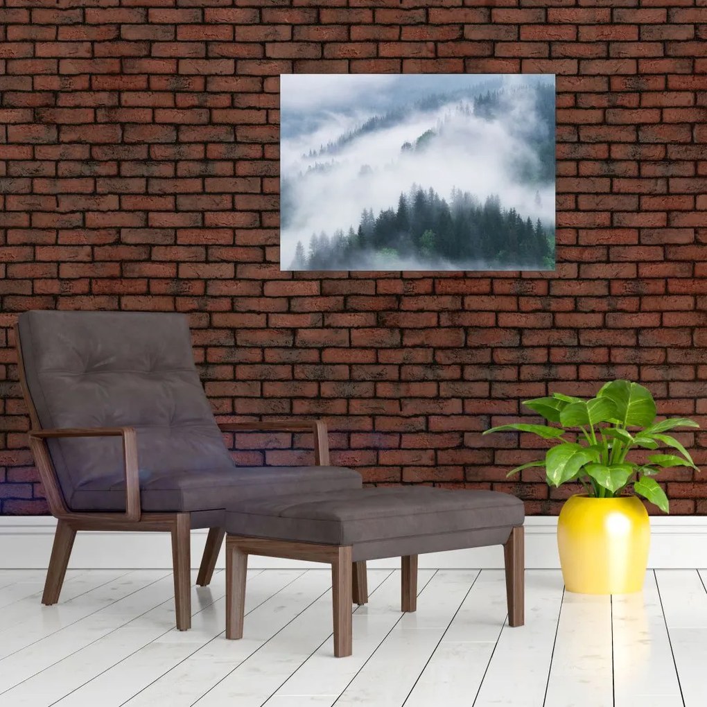 Obraz - Drzewa we mgle (70x50 cm)