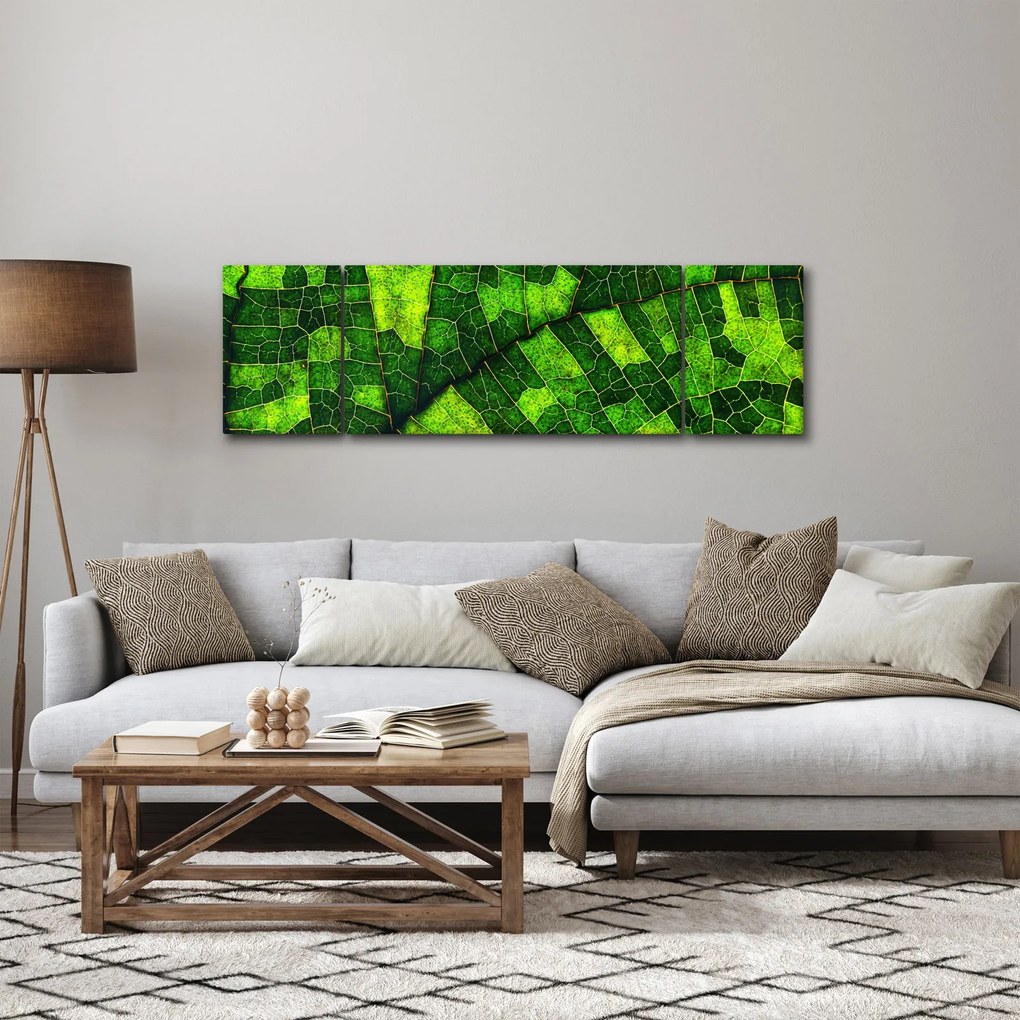 Obraz - Detal liścia (170x50 cm)