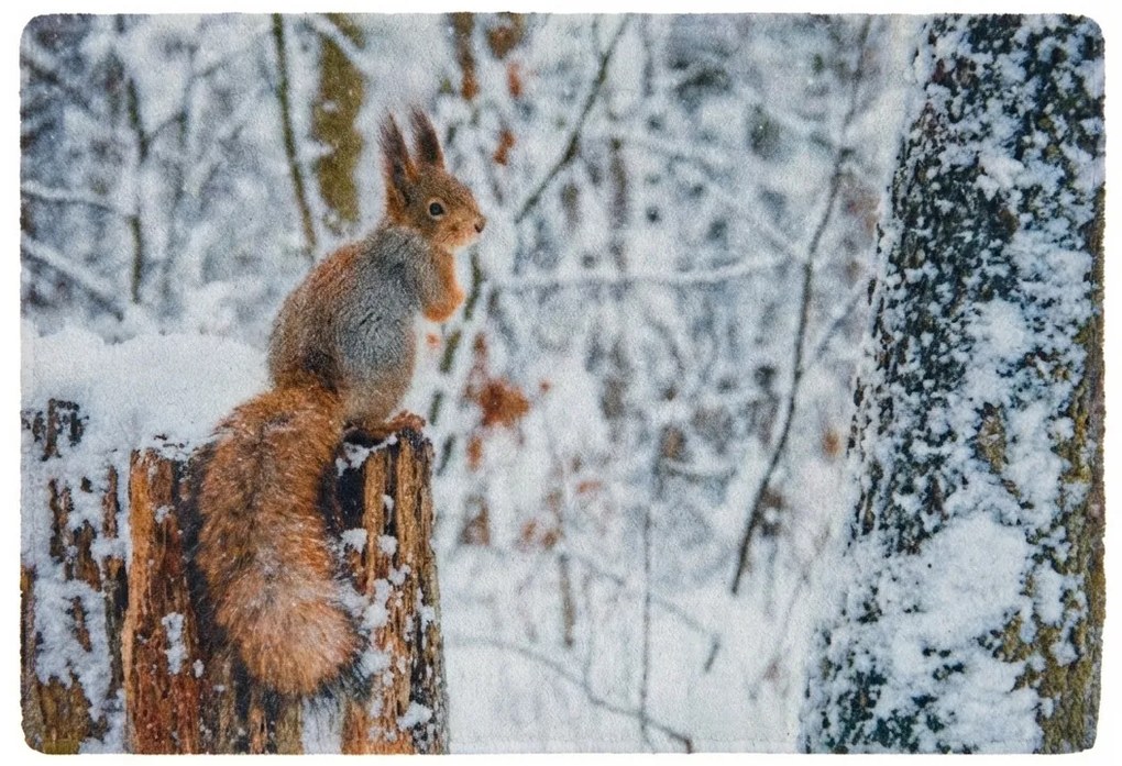 Świąteczna wycieraczka WILD IN WHITE 38x58 cm - więcej wariantów Wersja: Lis