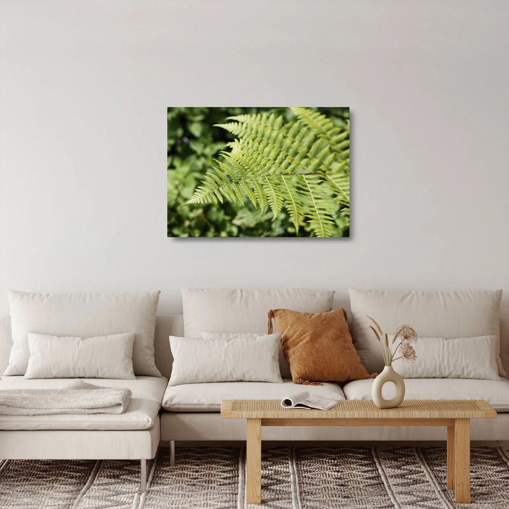 Obraz na szkle - Liść paproci (70x50 cm)