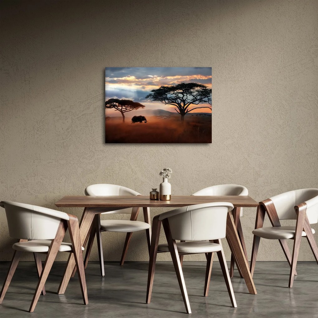 Obraz - Park Narodowy Serengeti, Tanzania, Afryka (70x50 cm)