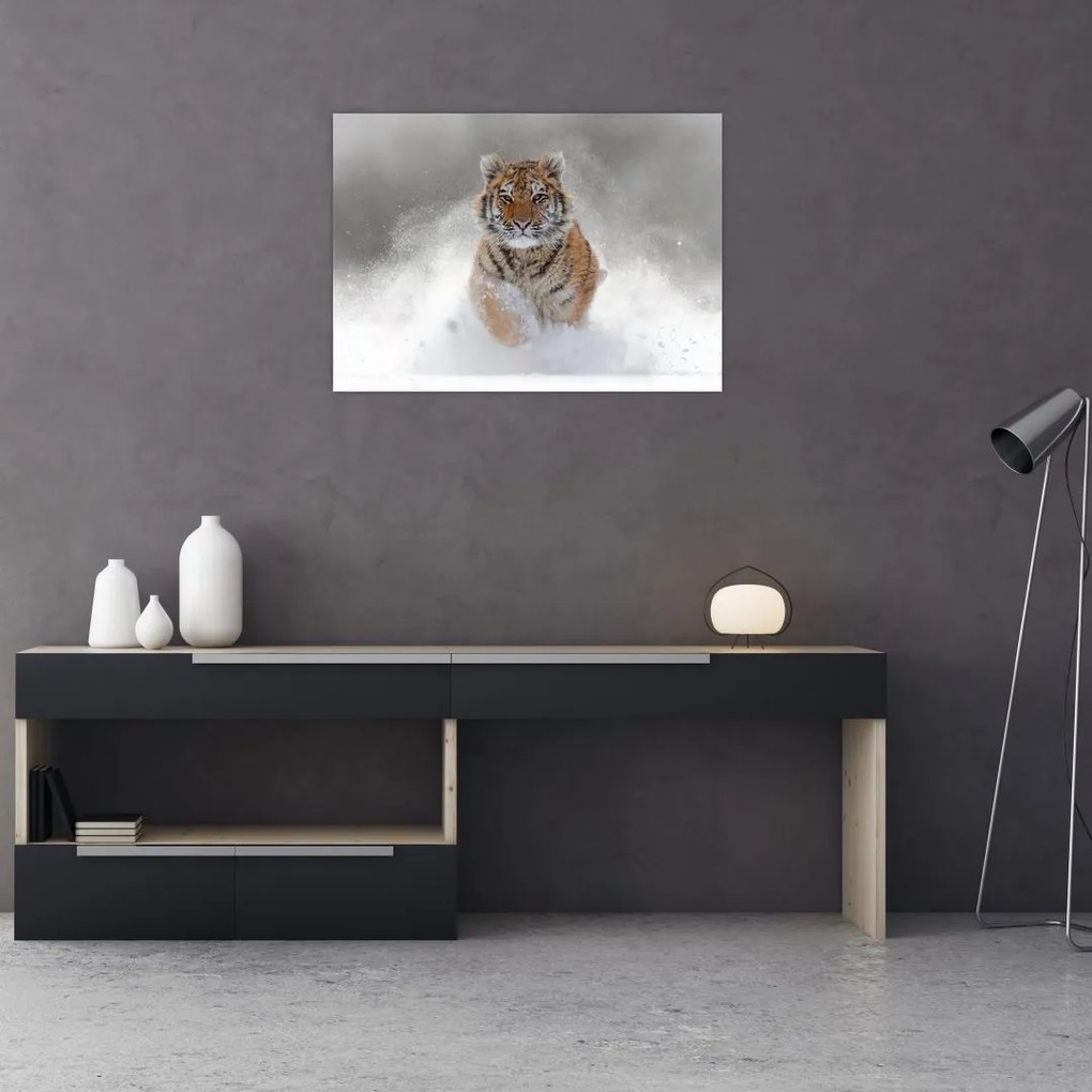 Obraz na szkle - tygrys biegnący po śniegu (70x50 cm)