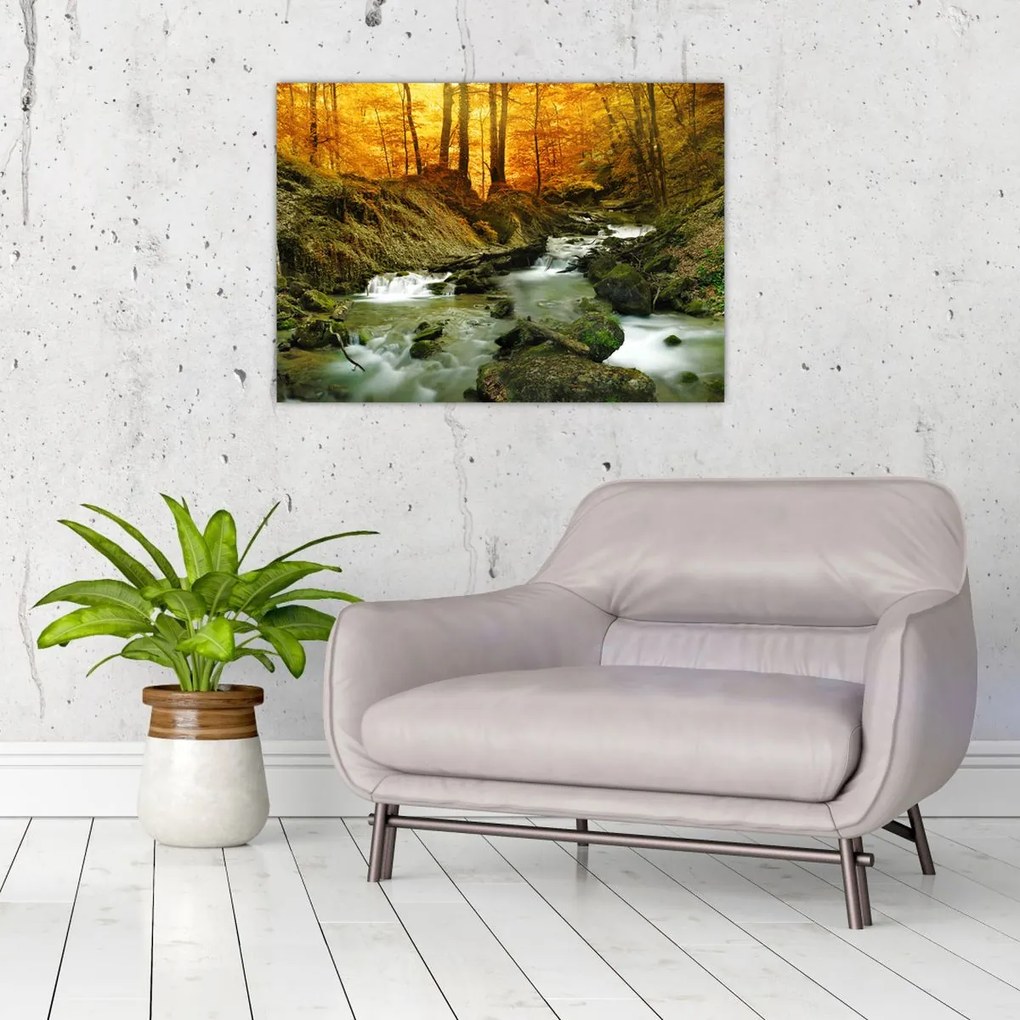 Obraz - Las (70x50 cm)