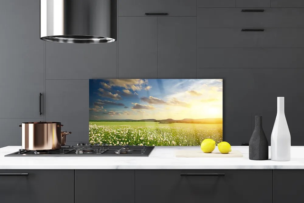 Panel Szklany Barwna Panorama Polnej Łąki