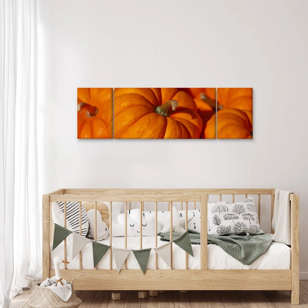 Obraz - Wspaniałe dynie (170x50 cm)