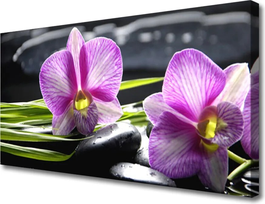 Obraz canvas Delikatność Płatków Storczyka