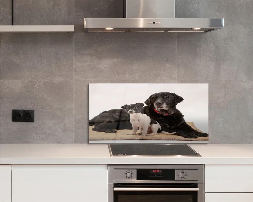 Szklany Panel Odpoczywająca Para Psów