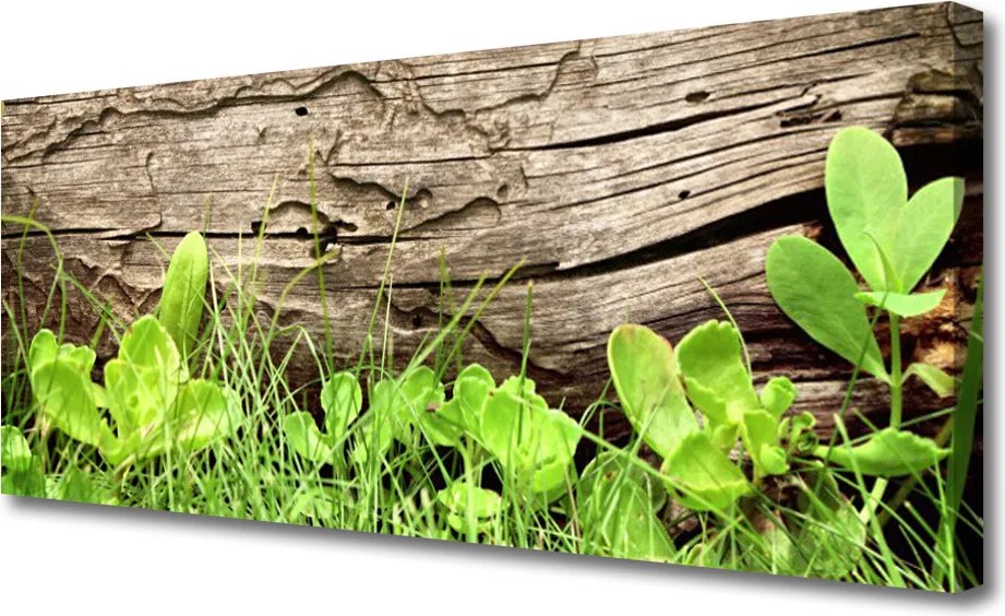 Obraz canvas Kwiaty Ukryte w Trawie