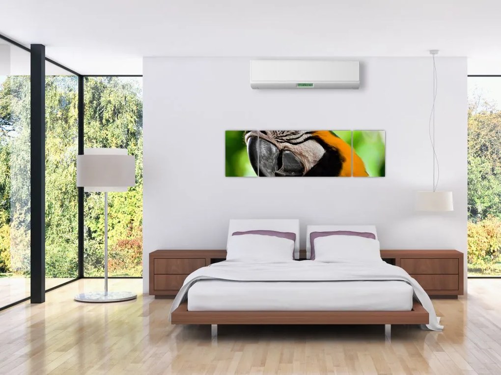 Obraz papugi (170x50 cm)