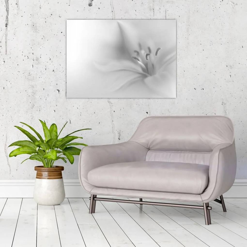 Obraz na szkle - Delikatna lilia (70x50 cm)