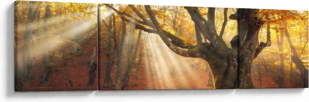 Obraz - Jesienny świt (170x50 cm)