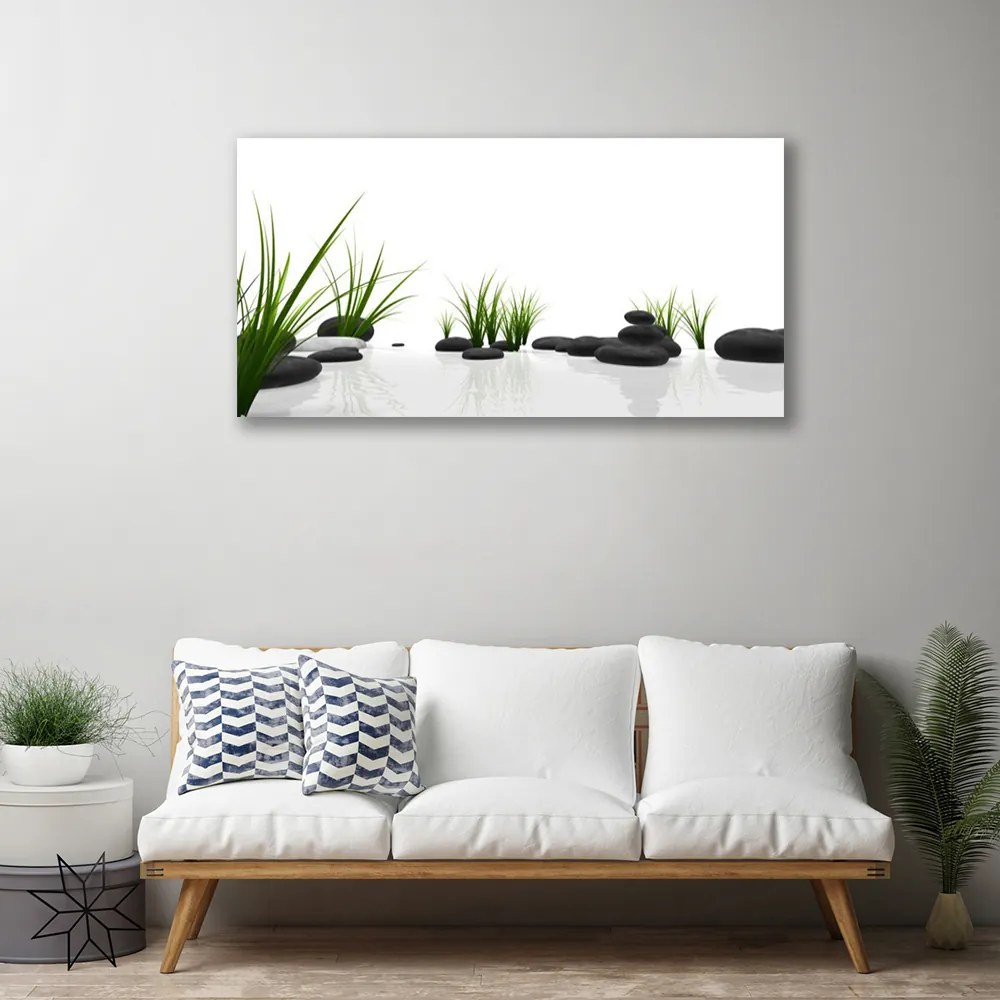 Zdjęcie na płótnie Kamienie w Soczystej Trawie