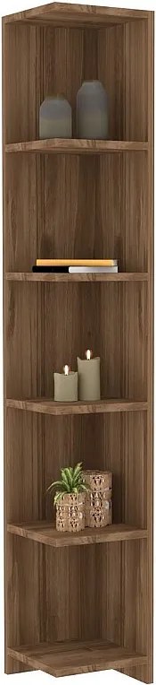 Regał na książki – 160 cm wysokości x 25 cm szerokości x 25 cm głębokości – Kolor orzecha włoskiego – Materiał: płyta wiórowa pokryta melami