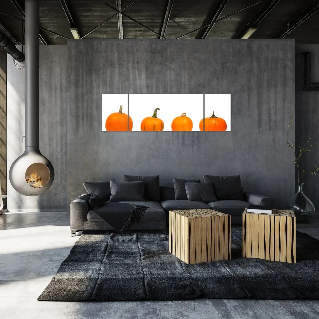 Obraz dyni (170x50 cm)