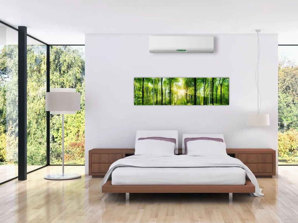 Obraz - Świt w lesie (170x50 cm)