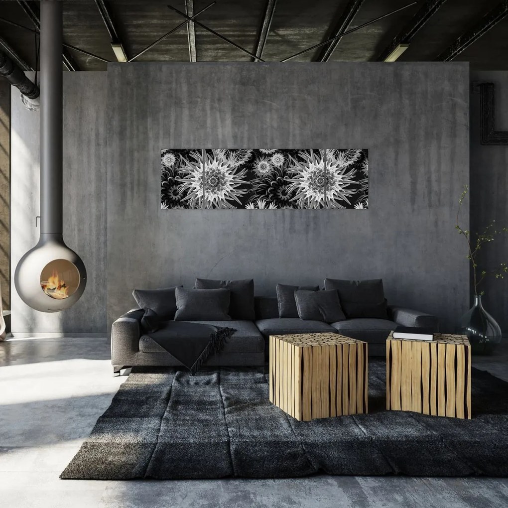 Obraz - Czarne i białe osty (170x50 cm)