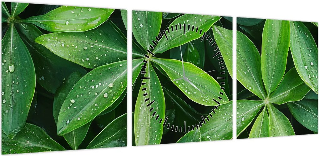 Obraz - Liście z kroplami rosy (z zegarem) (90x30 cm)