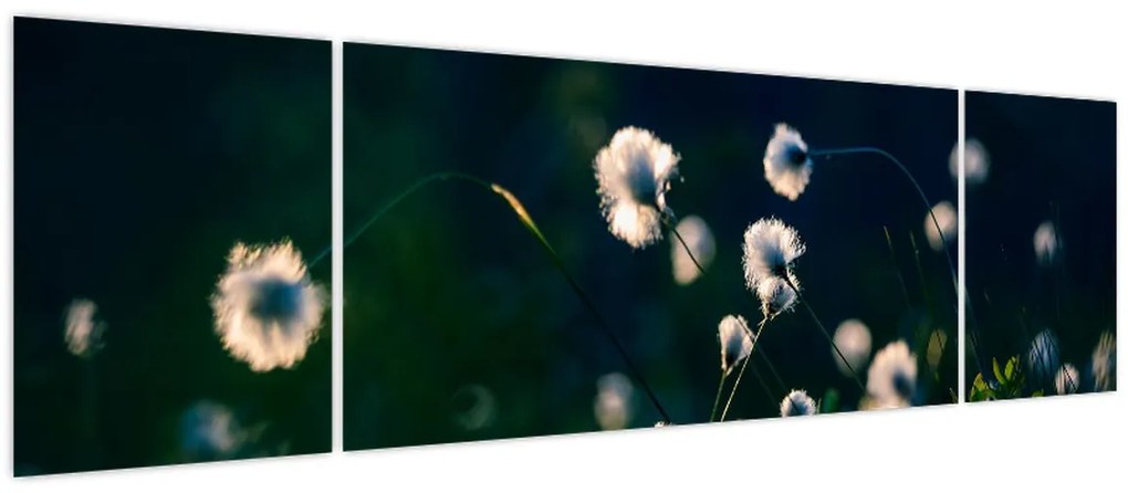 Obraz - Trawa (170x50 cm)