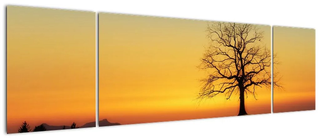 Obraz drzewa na polu (170x50 cm)