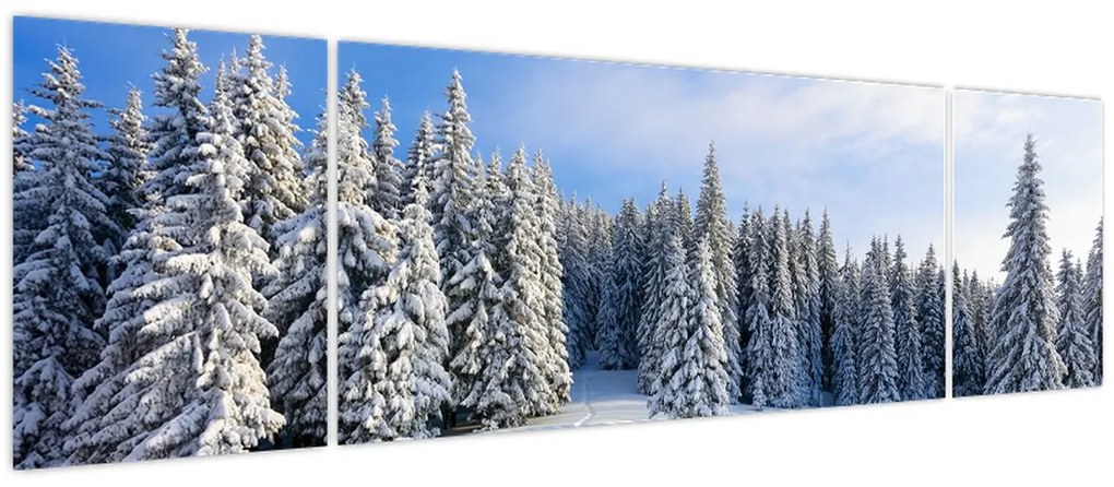 Obraz - Zima w lasach (170x50 cm)