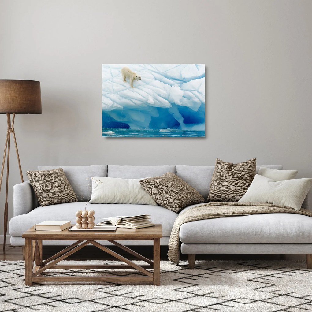 Obraz na szkle - Niedźwiedź polarny (70x50 cm)
