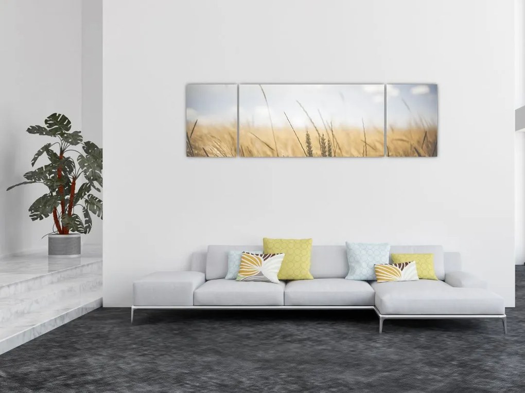 Obraz ziarna (170x50 cm)