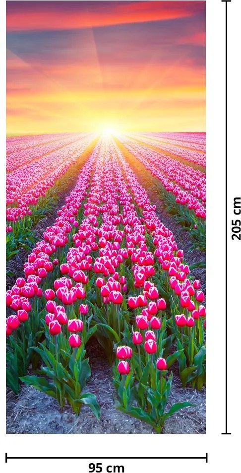 Fototapeta na drzwi - Pole tulipanów ze słońcem (95x205cm)