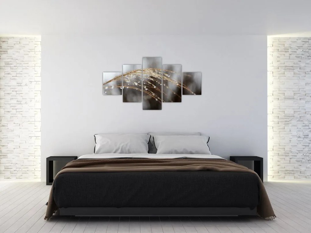Obraz kropli na roślinie (125x70 cm)